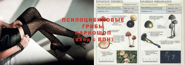 гидропоника Ладушкин