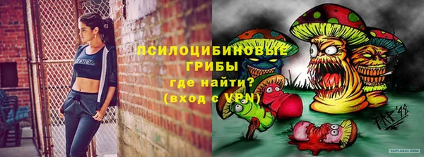 МДПВ Лагань