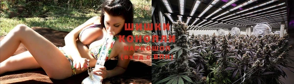 МДПВ Лагань